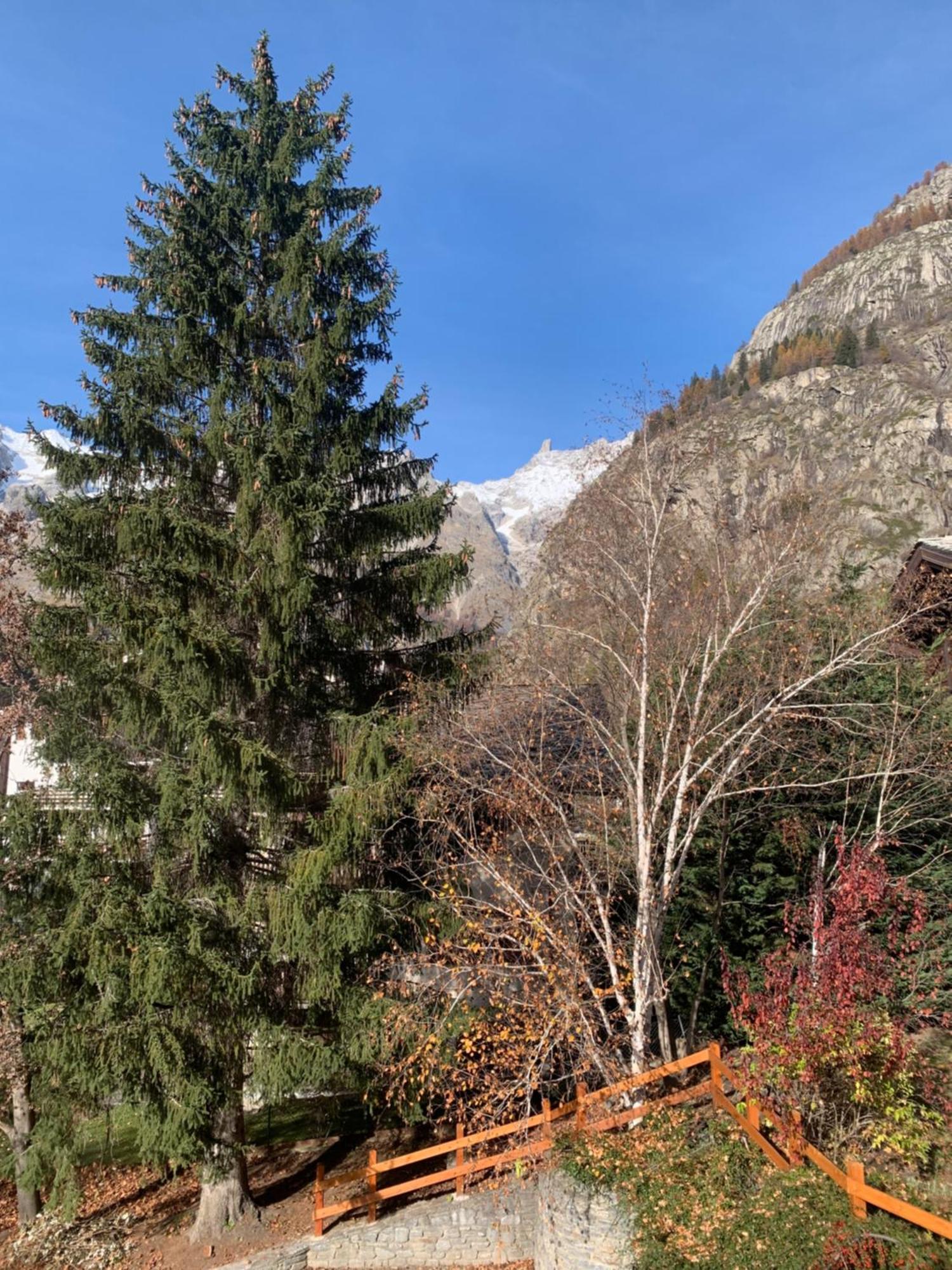 Foyer Grand Ru Leilighet Courmayeur Eksteriør bilde